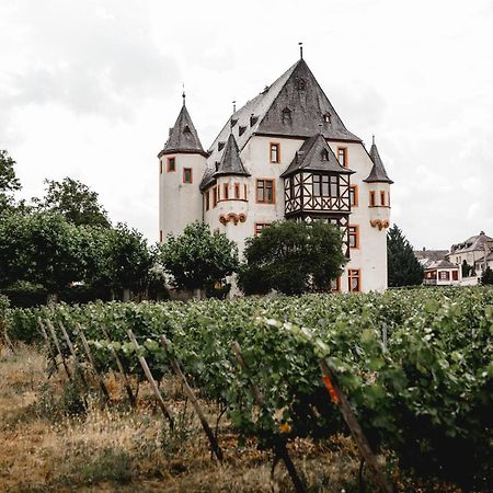 Schloss Schoenborn ไกเซนไฮม์ ภายนอก รูปภาพ
