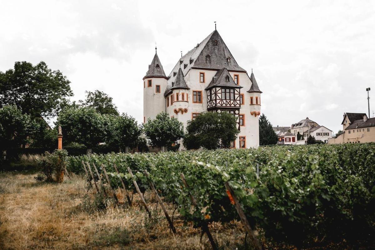 Schloss Schoenborn ไกเซนไฮม์ ภายนอก รูปภาพ